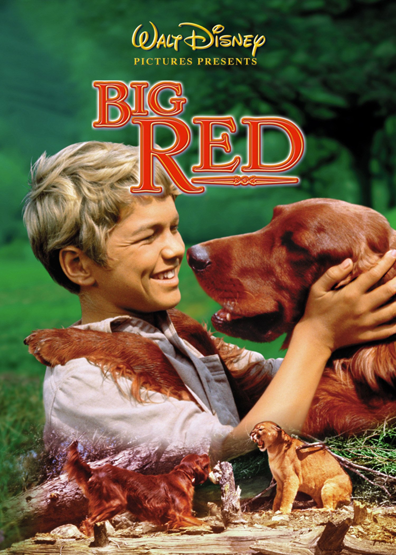 Big Red - Films - Acheter/Louer - Rakuten TV