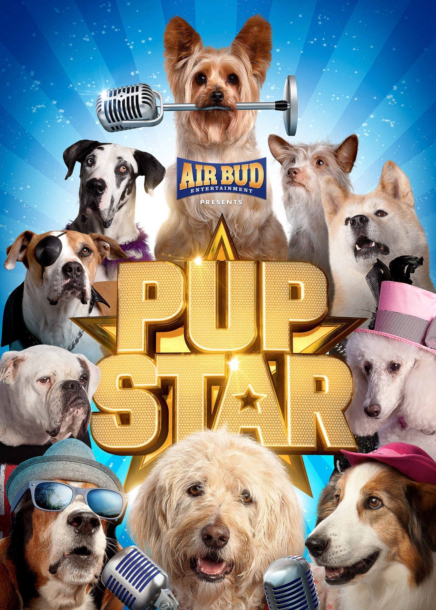 Pup Star 2: Vuffer Bedre End En - Films - Gratis kijken - Rakuten TV