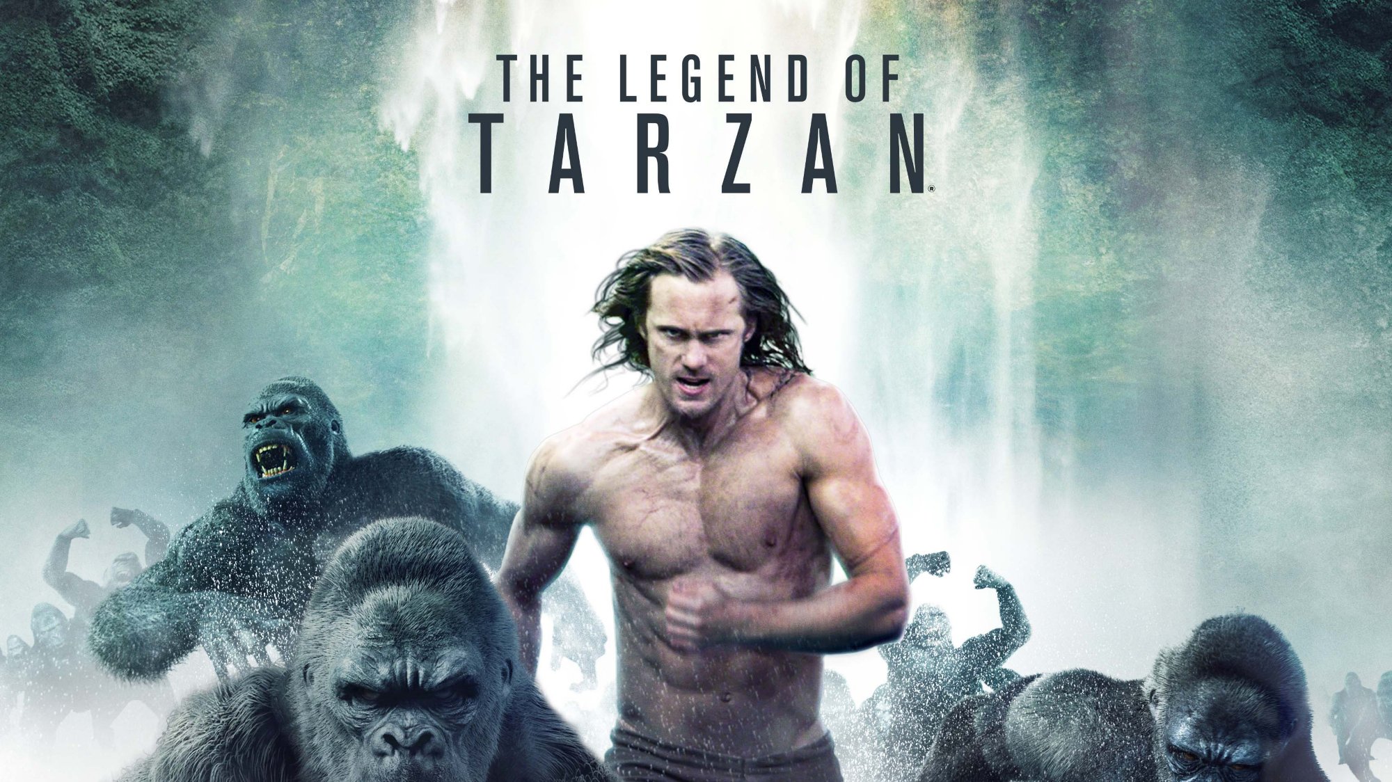 'tarzan' Search - albatrostag.ru